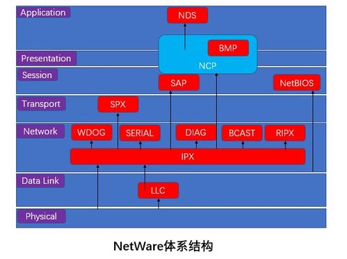 網(wǎng)絡(luò)工程師軟考學(xué)習(xí)筆記3 計(jì)算機(jī)網(wǎng)絡(luò)體系結(jié)構(gòu)2與計(jì)算機(jī)系統(tǒng)集成